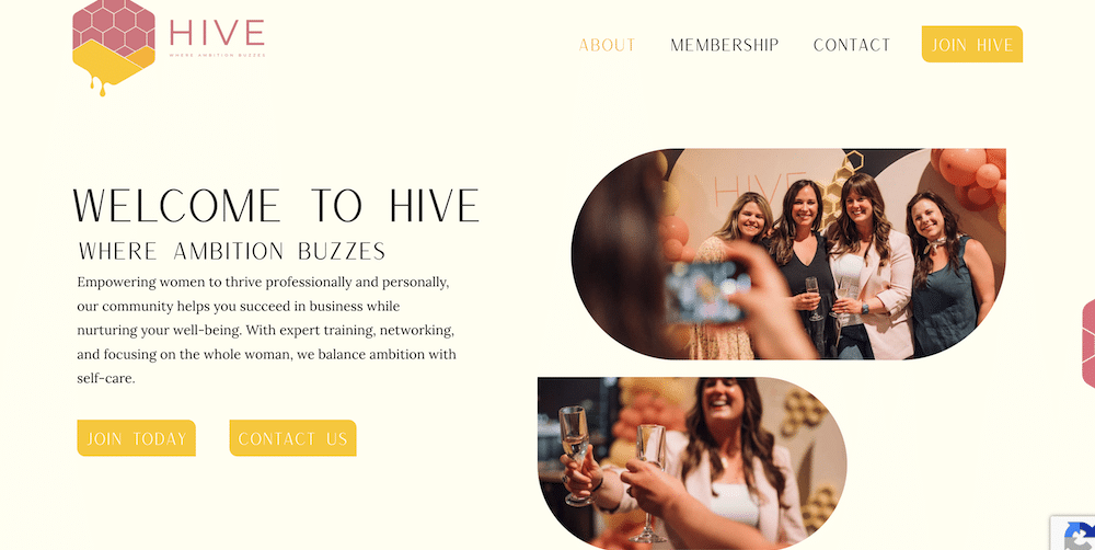 Hive Ambition website by Soul Sites web co image